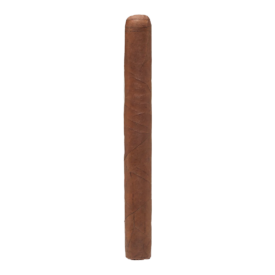 DAVID'S CHOICE RUBUSTO